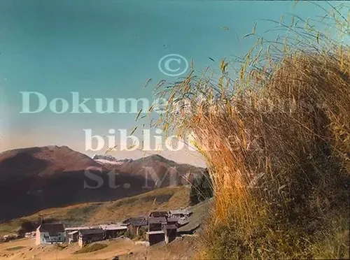 Bilddatenbank Bibliothek St. Moritz project image