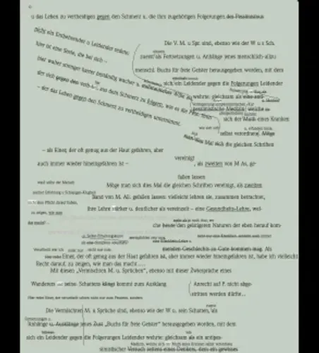 Der späte Nietzsche. Digitale Manuskriptedition project image