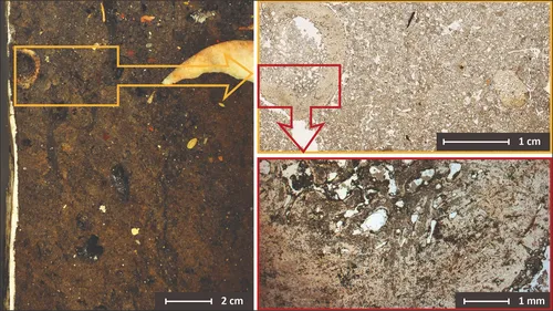 I-GEOARCHive project image